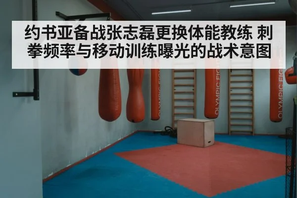 约书亚备战张志磊更换体能教练 刺拳频率与移动训练曝光的战术意图