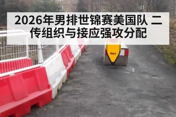 2026年男排世锦赛美国队 二传组织与接应强攻分配