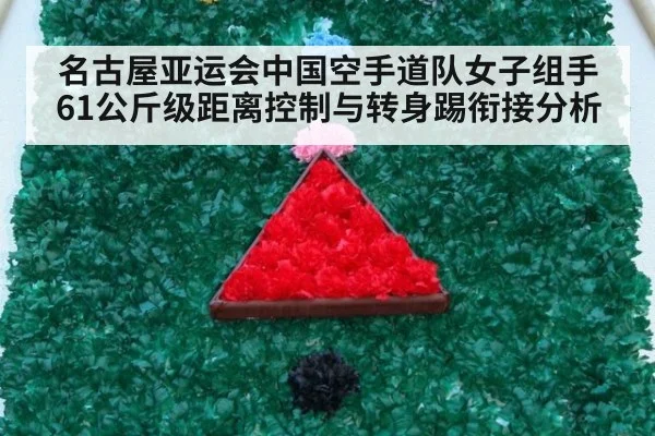 名古屋亚运会中国空手道队女子组手61公斤级距离控制与转身踢衔接分析
